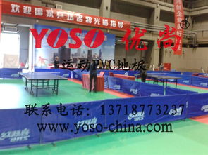 体育运动产品供应 市场动态与价格策略